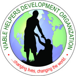 Viable Helper's Development Organization